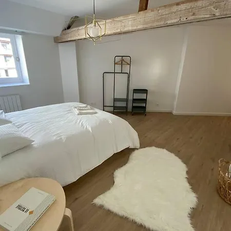Le Marne - Plein Centre-ville 8 A 10 Couchages Appartement *
